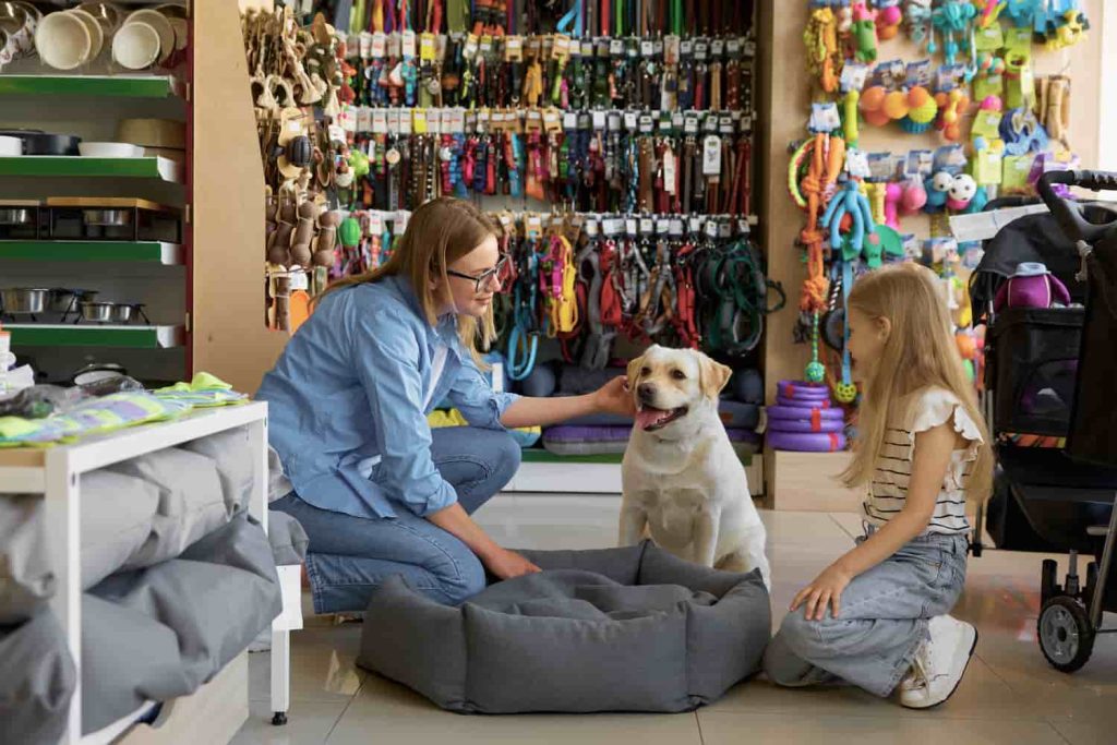 Contabilidade Para Pet Shop - Ibérica Contábil